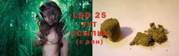 PSILOCYBIN Беломорск